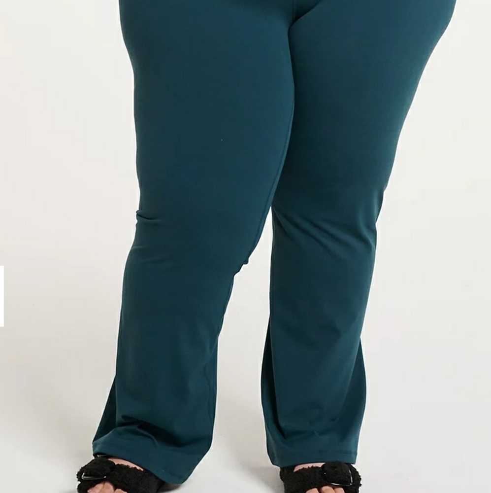 Nwot sz4 flare teal pull up pants